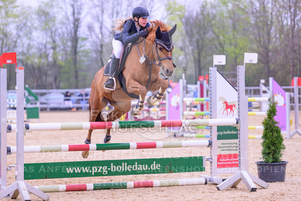 12042026-Mammendorf-Prfg41-0231 | Fokus Hufschlag Fotografie - Realisiert mit Pictrs.com