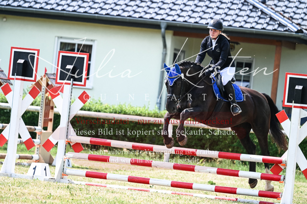 DSC_9194 | Pferde- und Turnierfotografie in Westsachsen. Pferdeportraits, Auftragszeichnungen und intuitive Kunst.