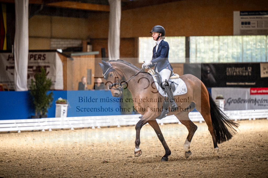 DOS_0723 | Entdecke hochwertige Reitturnierfotos von Foto Oger. Professionell, emotional und authentisch – jetzt Lieblingsmomente im Shop bestellen.Deutschlandweite Turnierfotografie. - Realisiert mit Pictrs.com