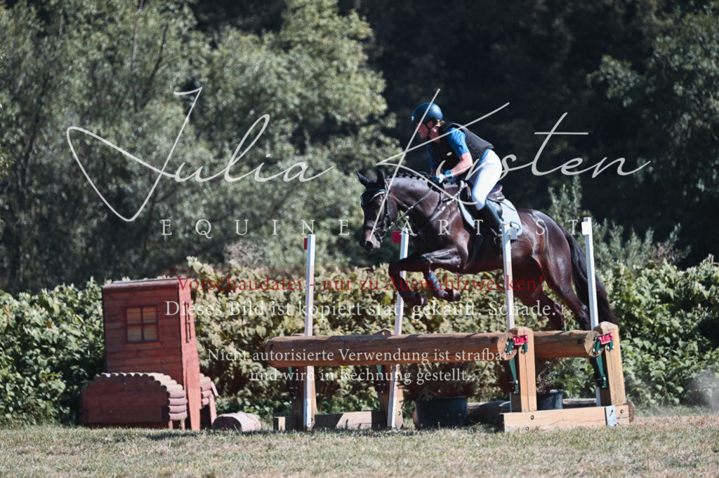 DSC_8498 | Pferde- und Turnierfotografie in Westsachsen. Pferdeportraits, Auftragszeichnungen und intuitive Kunst.