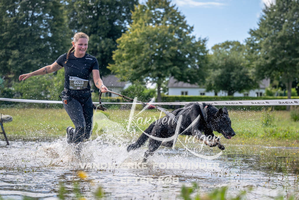 1221_ZZ93935 | kk-dogfotos