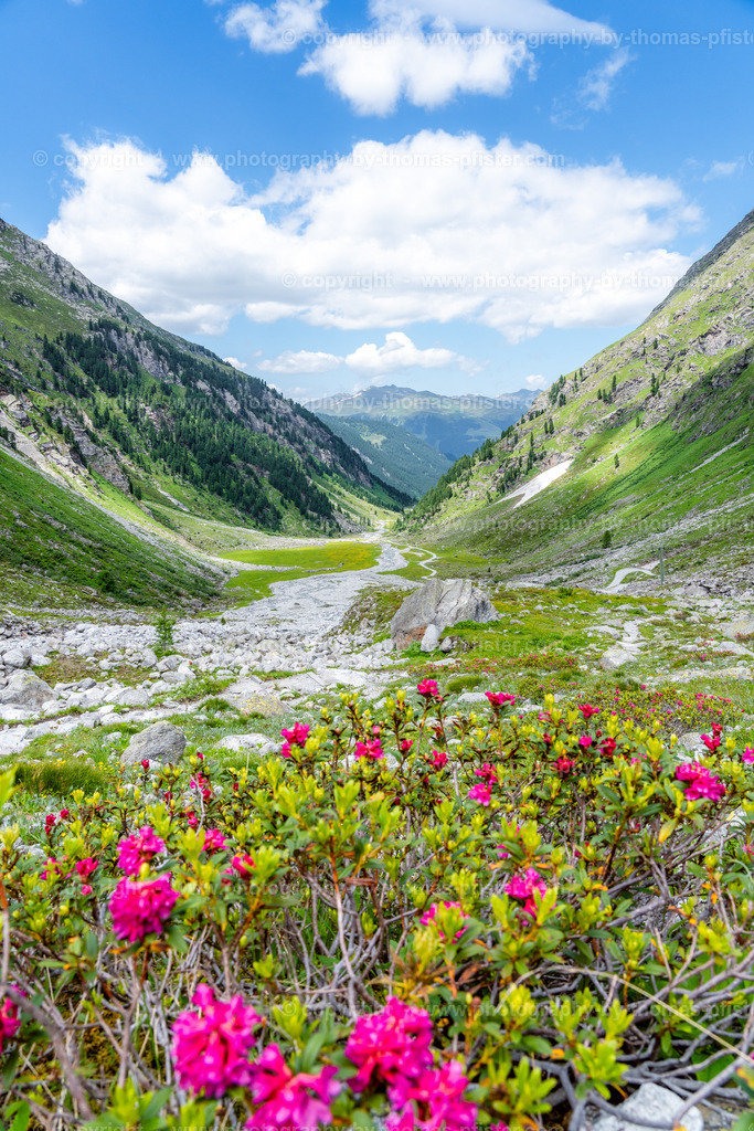 Wildgerlostal copyright  Thomas Pfister-1 | PHOTOGRAPHY BY THOMAS PFISTER