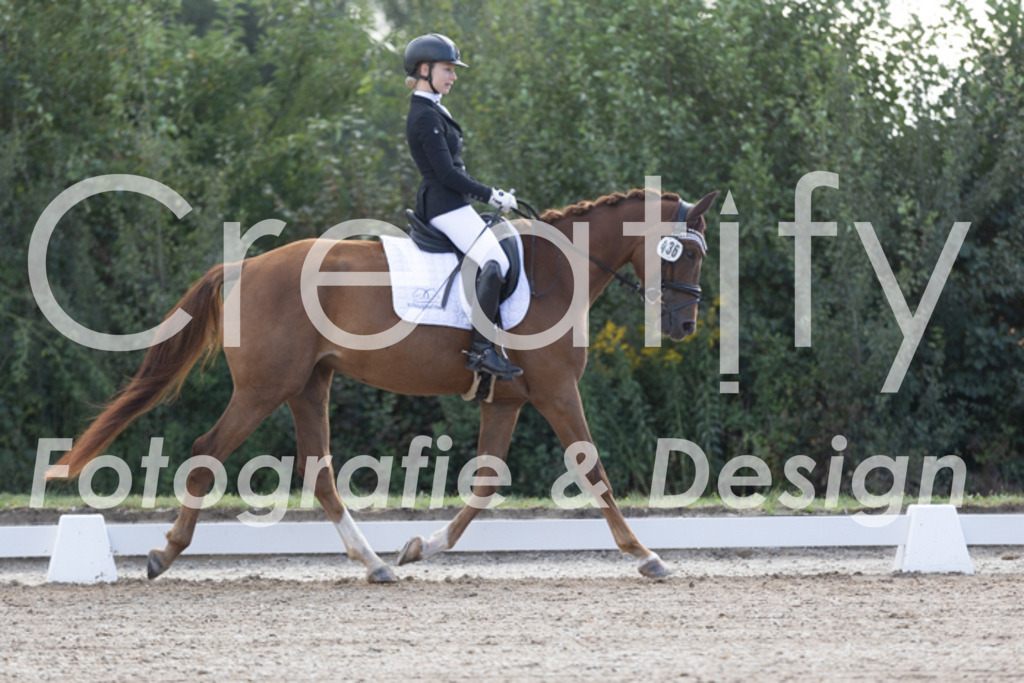 IMG_9842 | Creatify Fotografie