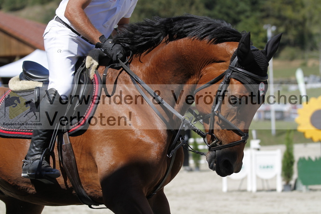 _MG_5231 | equestrian-live-com