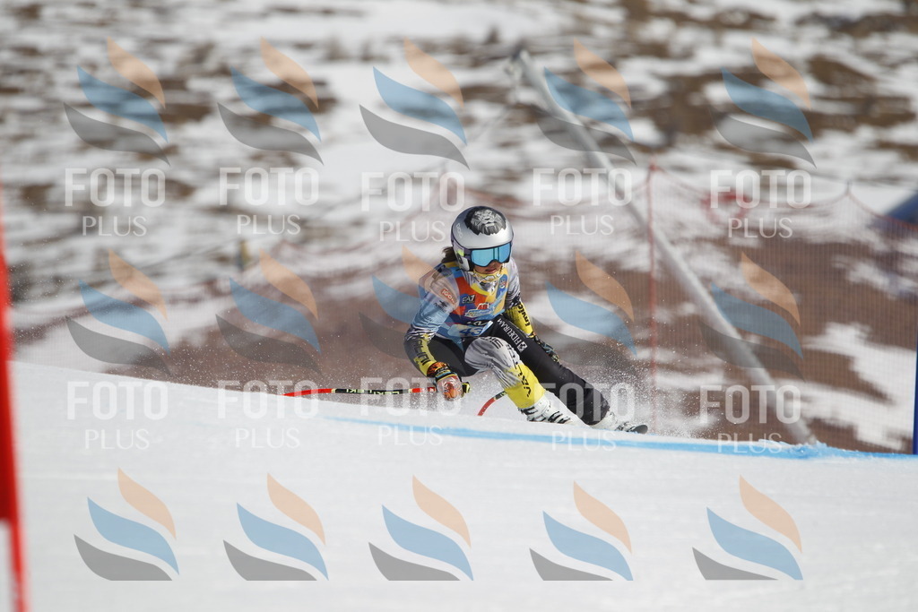 _U3G9259 | holidayphoto