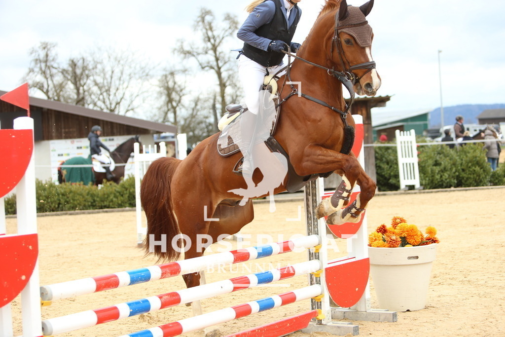 DL2Q1869 | Willkommen bei Brunnmayr - Design & Fotografie – Ihrem Spezialisten für Reitturniere und Pferdeveranstaltungen in Oberösterreich, Salzburg und Bayern! Seit über 17 Jahren sind wir leidenschaftlich dabei.