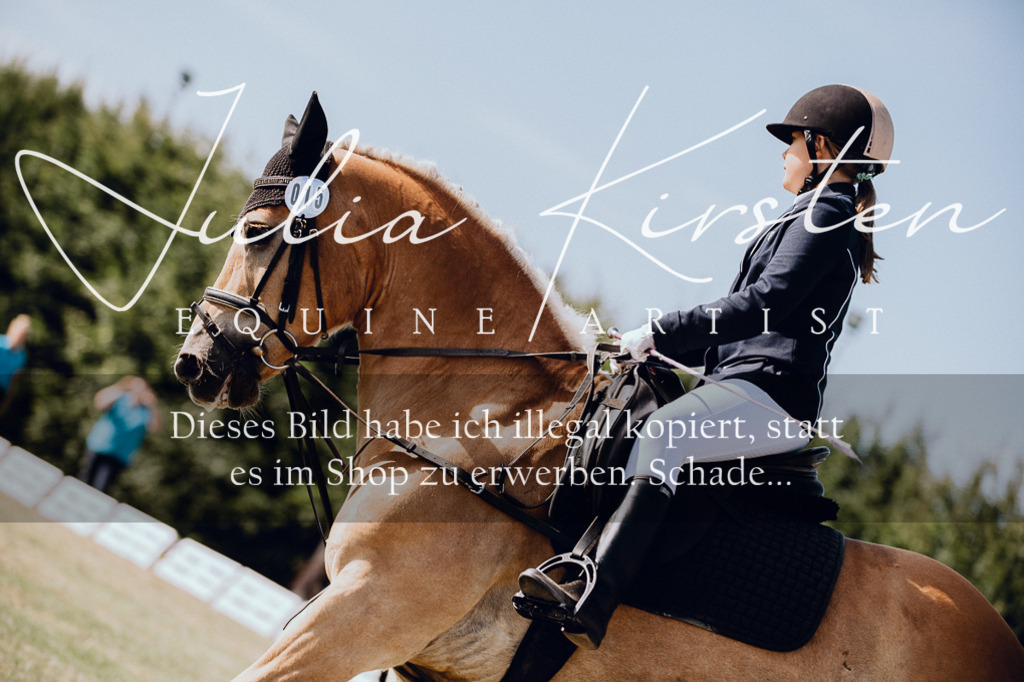 DSC_6914 | Pferde- und Turnierfotografie in Westsachsen. Pferdeportraits, Auftragszeichnungen und intuitive Kunst.