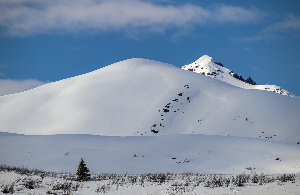 Alaska | Denali Highway - Realisiert mit Pictrs.com