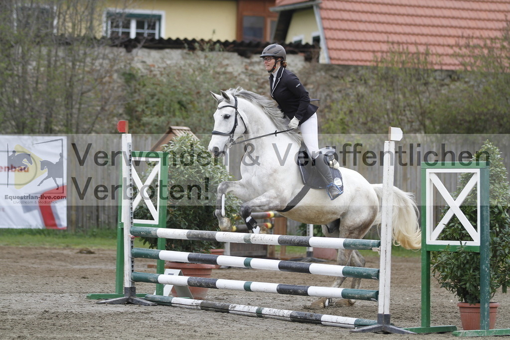 _MG_4534 | equestrian-live-com
