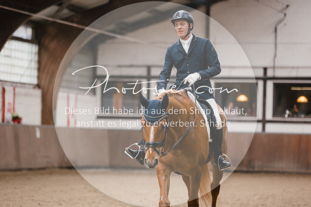 3I6A6401 | Stimmungsvolle Portraits und Reitsportfotografie im Ruhrgebiet und im Münsterland.

Pferdefotografie, Hundefotografie, Tierfotografie, Reportagen, Portraits von Tier und Mensch, Turnierfotografie in Bochum, Recklinghausen, Marl, Haltern am See, Dülmen.. - Realisiert mit Pictrs.com