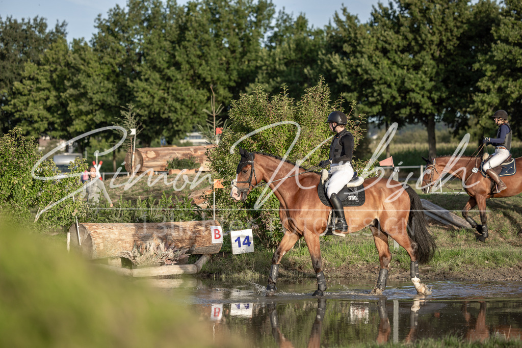 20250907-_3LI8243 | Tierfotografie Pferde, Hunde, Katzen, Haustiere.
Turnierfotografie Reitturniere, Reiten, Springreiten, Dressur in Hanau, dem Main-Kinzig-Kreis und dem Rhein-Main- Gebiet um Frankfurt