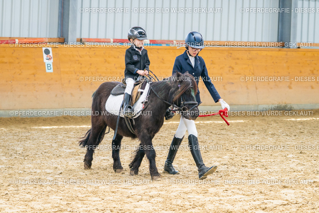 DSC00610 | Pferdegrafie