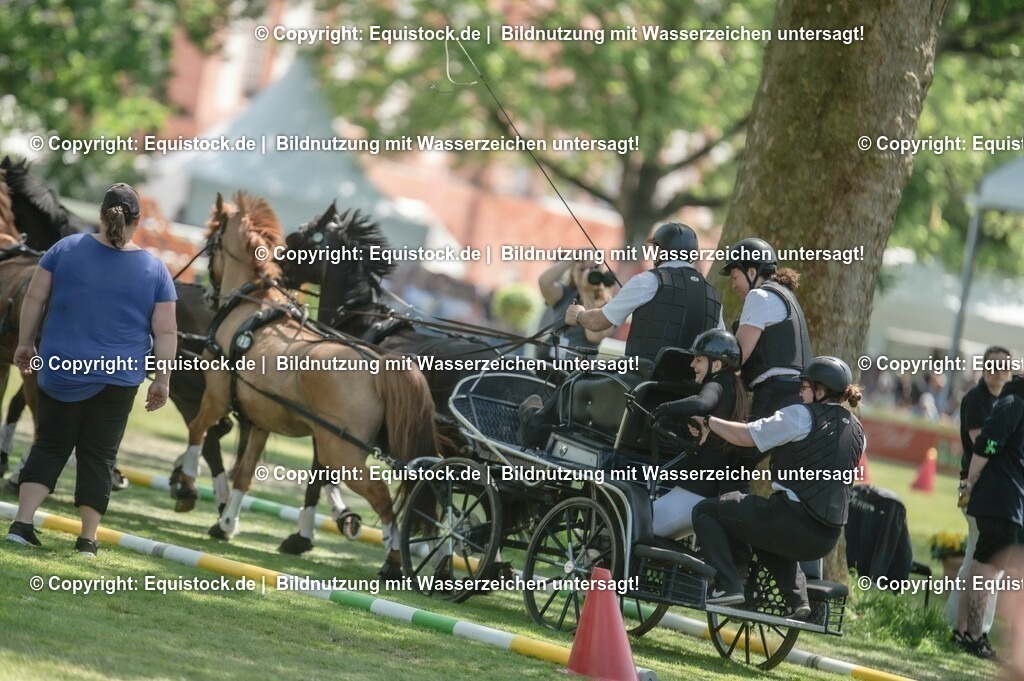 20230528_Jump-and-Drive_0106 | equistock