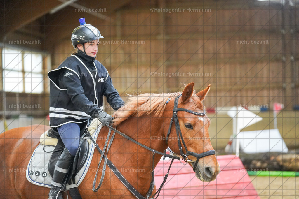 20240211-FAH01569 | Fotoagentur Herrmann, Pferdesport- und Hochzeitsfotografie, Turnierfotografen Bayern