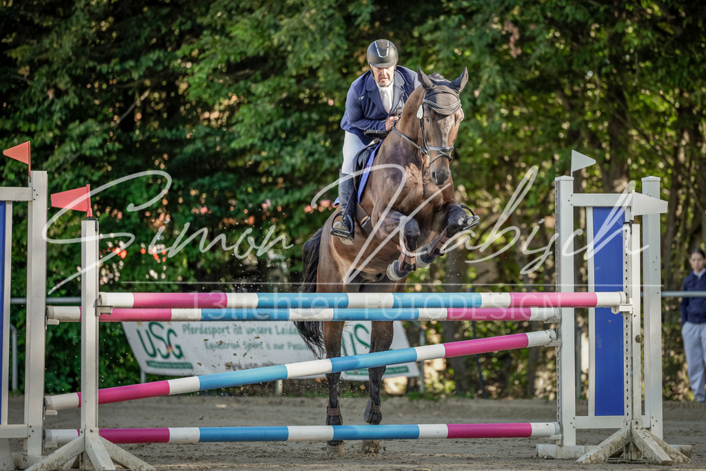 20250906-_3LI3099 | Tierfotografie Pferde, Hunde, Katzen, Haustiere.
Turnierfotografie Reitturniere, Reiten, Springreiten, Dressur in Hanau, dem Main-Kinzig-Kreis und dem Rhein-Main- Gebiet um Frankfurt