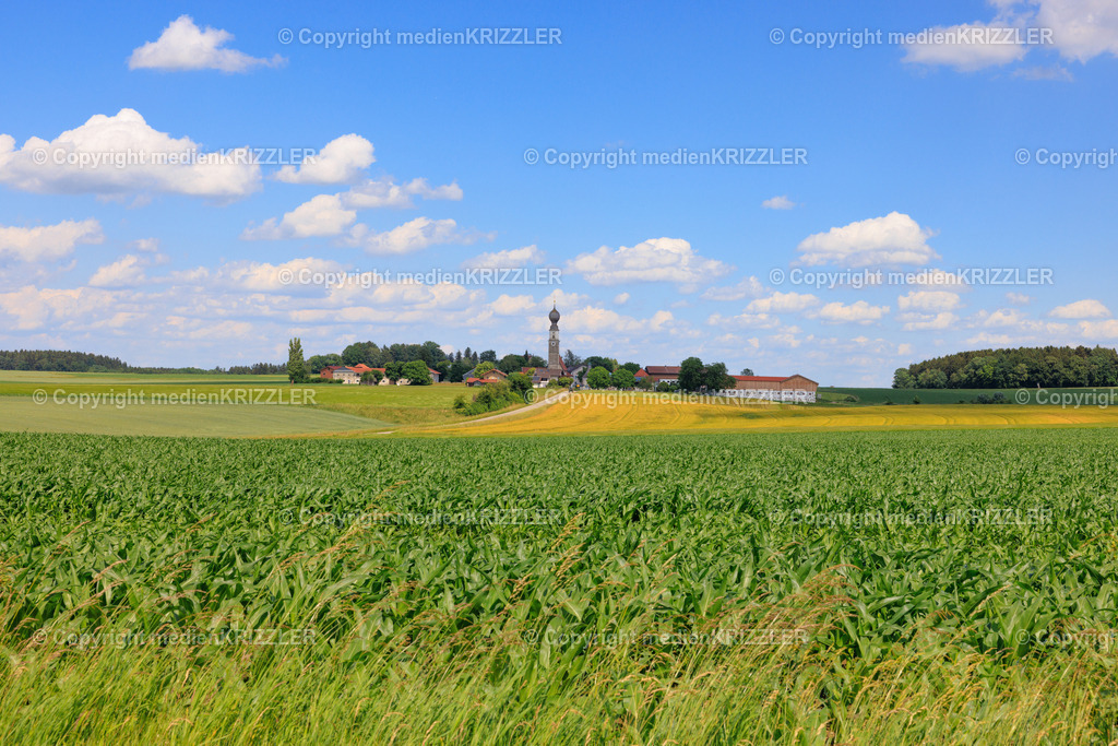 Oberfeldkirchen | medienkrizzler - Realisiert mit Pictrs.com