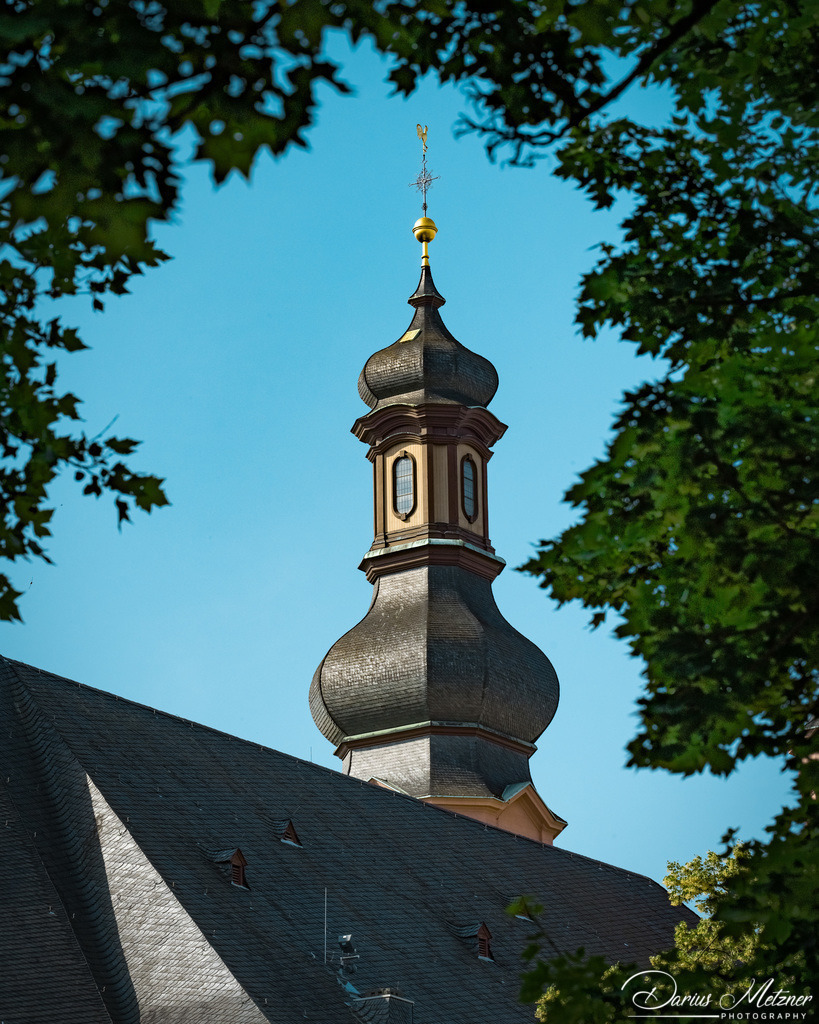 _DSC2070 | Fotografien, Fotos und Bilder aus Mainz, Frankfurt, Wiesbaden und anderen Orten auf der Welt - Fotografiert von Darius Metzner