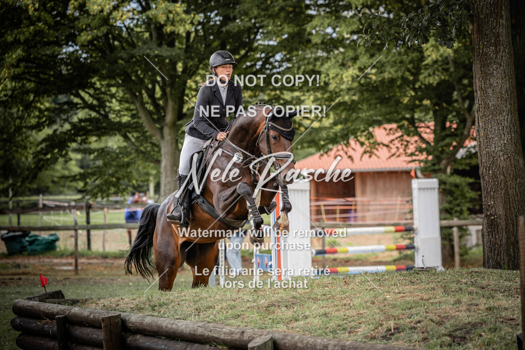nelerasche_KlDerbyEde_60 | nelerasche