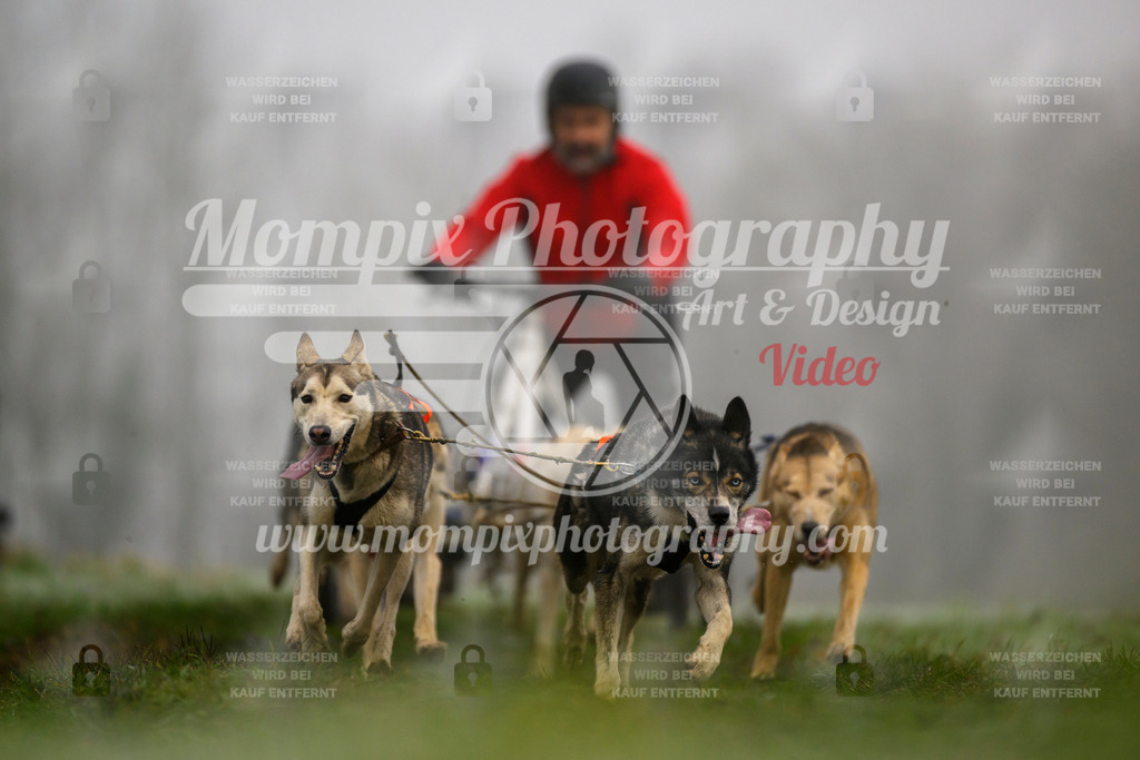 MompixPhotography_CDF2023_FFST_Di_Kart-58 | PayLife