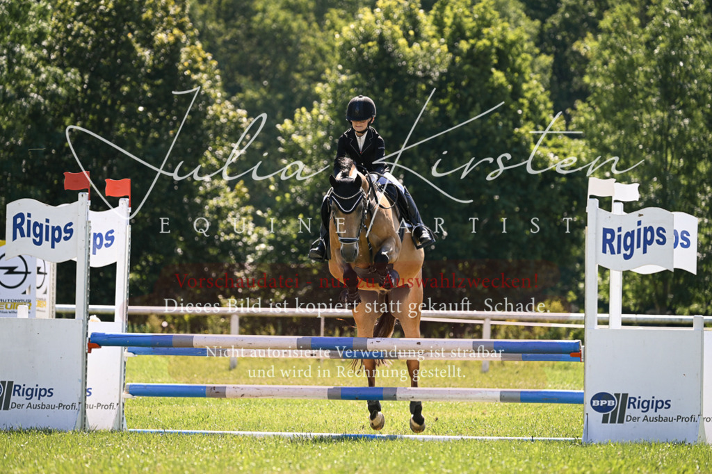 DSC_8805 | Pferde- und Turnierfotografie in Westsachsen. Pferdeportraits, Auftragszeichnungen und intuitive Kunst.