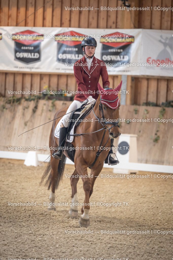 _D5A2073 | Emotionale Pferde- & People-Fotografie rund um Heidelberg, Leimen & Umgebung. Natürliche Fotos von Pferd, Mensch & Familie. Jetzt Termin sichern!