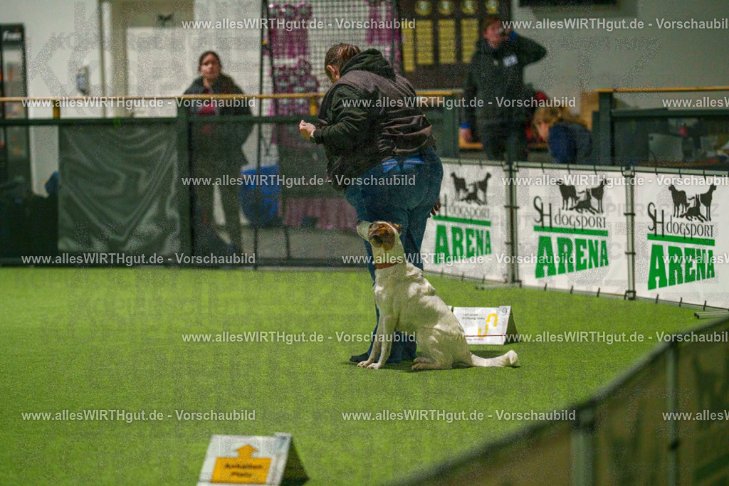 7R508631 | Professionelle Tierfotografie in Mönchengladbach von Daniel Wirth (allesWIRTHgut). Liebevolle & natürliche Bilder von Hunden & Katzen für unvergessliche Erinnerungen.