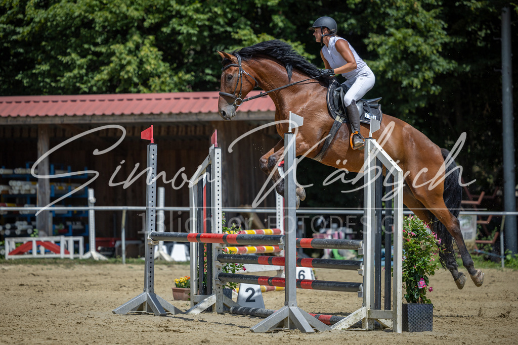 20260704-_3LI9477 | Tierfotografie Pferde, Hunde, Katzen, Haustiere.
Turnierfotografie Reitturniere, Reiten, Springreiten, Dressur in Hanau, dem Main-Kinzig-Kreis und dem Rhein-Main- Gebiet um Frankfurt