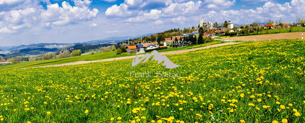 03052016-fb-1868 | über Frühlingswiesen zur Burgruine Weißenstein bei Regen