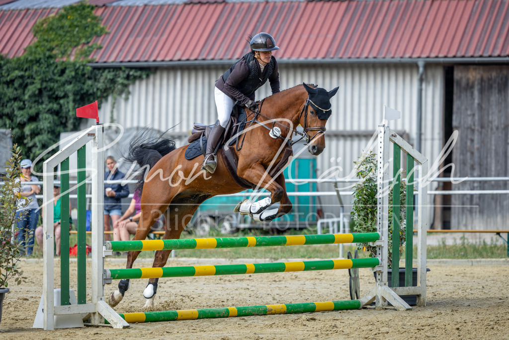 20260704-_3LI6641 | Tierfotografie Pferde, Hunde, Katzen, Haustiere.
Turnierfotografie Reitturniere, Reiten, Springreiten, Dressur in Hanau, dem Main-Kinzig-Kreis und dem Rhein-Main- Gebiet um Frankfurt