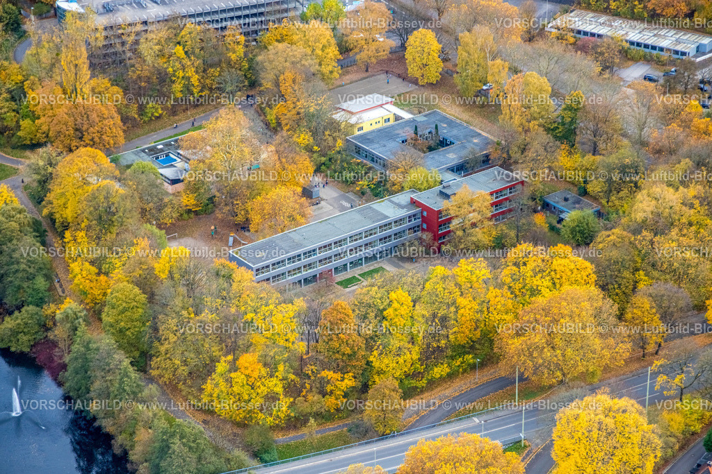 Hagen251101396 | Luftbild, Meinolfschule Städt. Kath. Grundschule und Kindertagesstätte Ischeland, herbstliche Bäume, Altenhagen, Hagen, Ruhrgebiet, Nordrhein-Westfalen, Deutschland