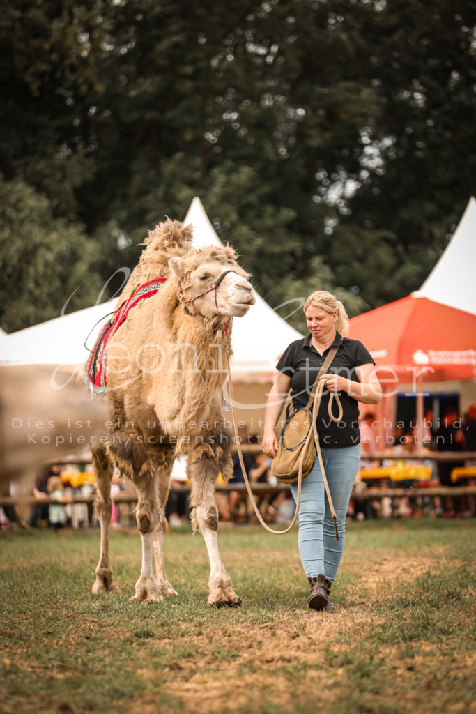 SoShow00048 | Leoni Ertmer Photography - Realisiert mit Pictrs.com