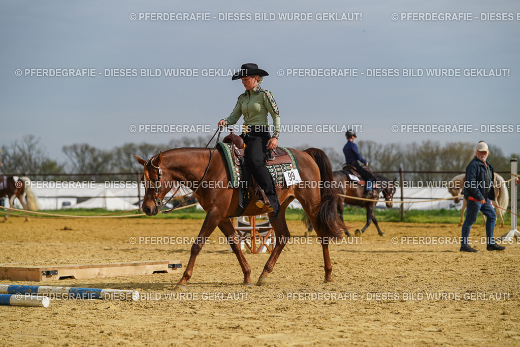 DSC01873 | Pferdegrafie