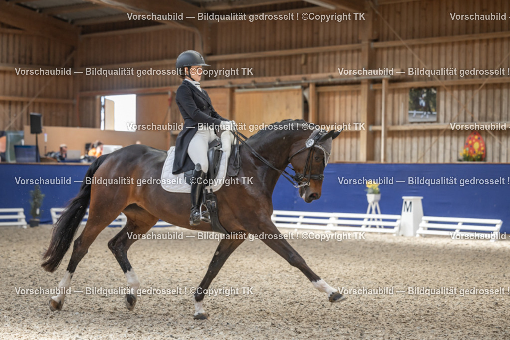 _D5A2755 | Emotionale Pferde- & People-Fotografie rund um Heidelberg, Leimen & Umgebung. Natürliche Fotos von Pferd, Mensch & Familie. Jetzt Termin sichern!