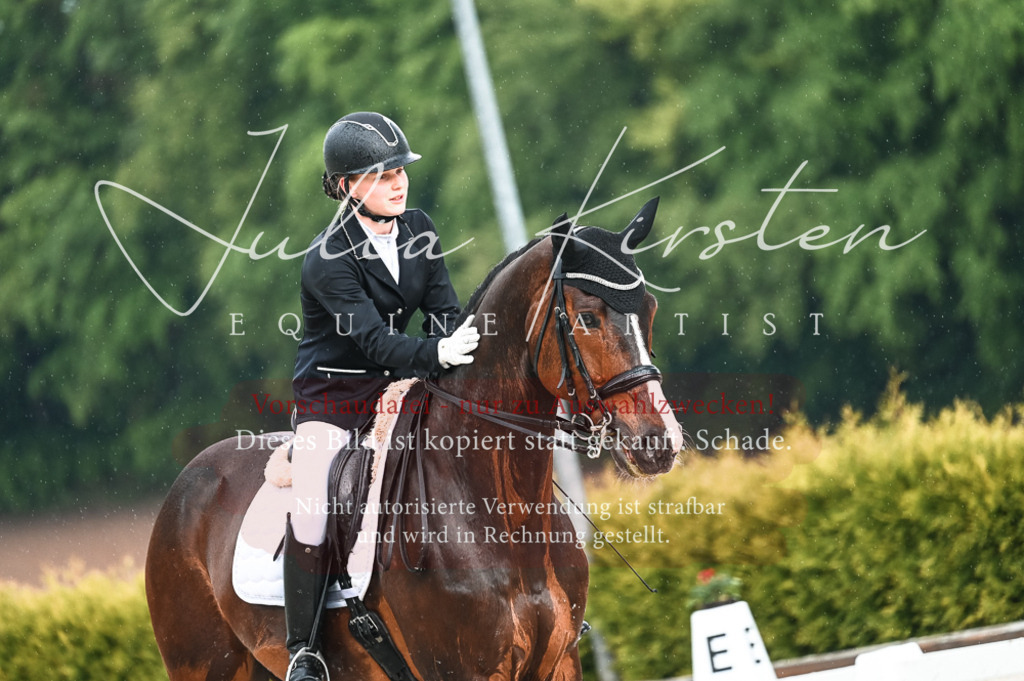 DSC_4182 | Pferde- und Turnierfotografie in Westsachsen. Pferdeportraits, Auftragszeichnungen und intuitive Kunst.