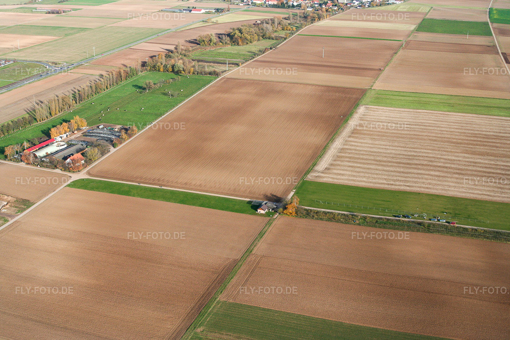 Luftbild: Modellflugplatz des FMC Offenbach eV in Offenbach an der Queich im Bundesland Rheinland-Pfalz in Deutschland. Foto: IMG_14529.jpg vom 08.11.2008 durch Werner Riehm/FLY-FOTO.de