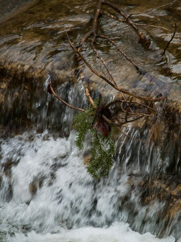 PSX_20221231_001421 | mtkfoto_ - Realisiert mit Pictrs.com