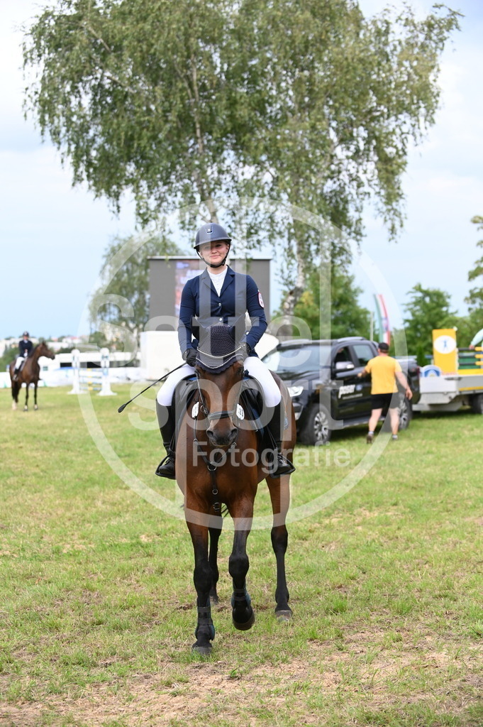 DSC_3536 | sattelsport - Realisiert mit Pictrs.com