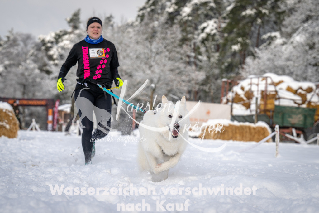 0852_ZZ92571 | kk-dogfotos