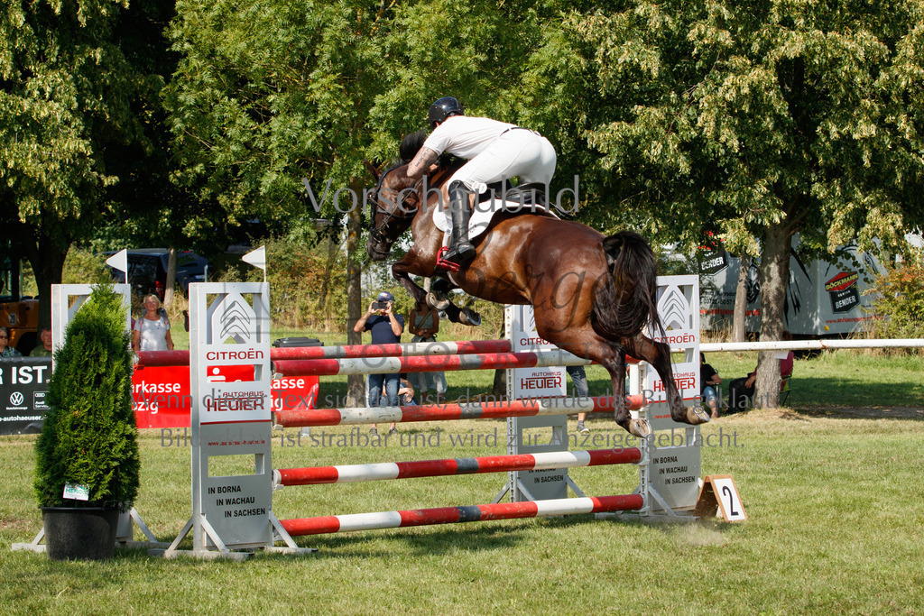 IMG_3639 | P. Berger Fotografie - Realisiert mit Pictrs.com