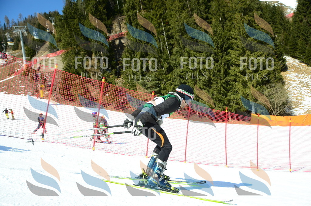 C6779 | holidayphoto