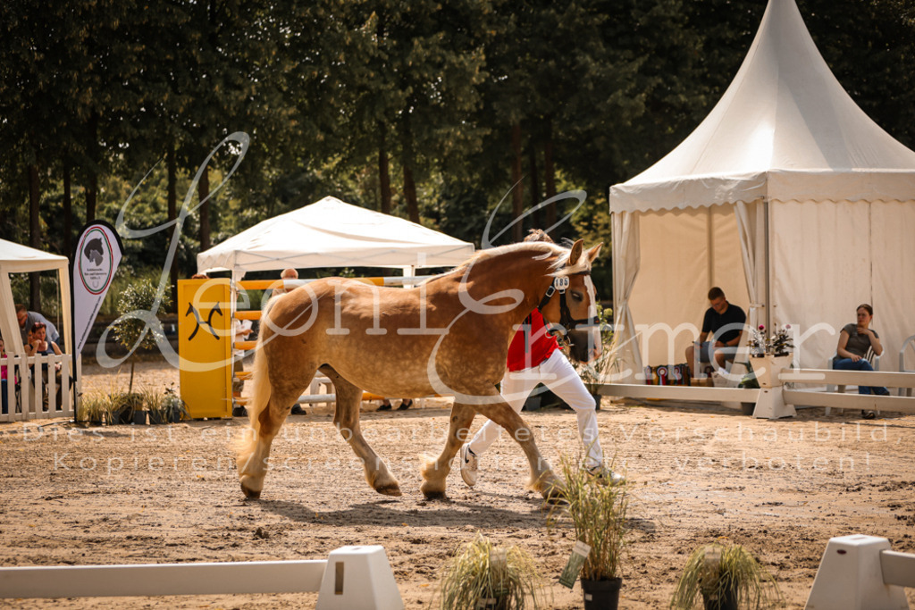 2.Sa00062 | Leoni Ertmer Photography - Realisiert mit Pictrs.com