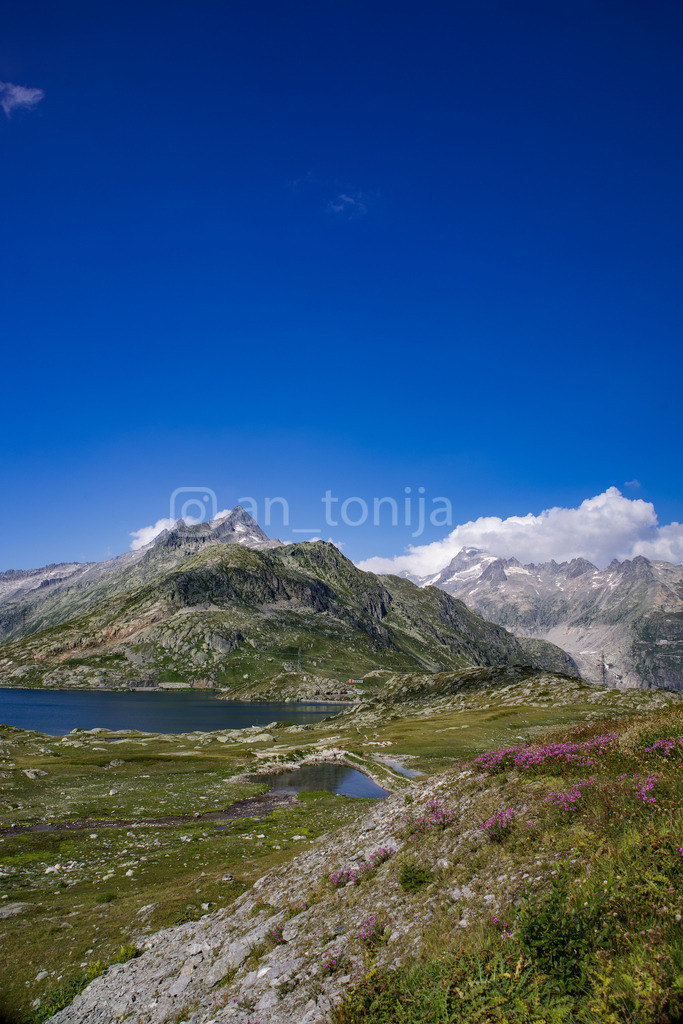 A.Trupina-59 | antonija-trupina - Realisiert mit Pictrs.com