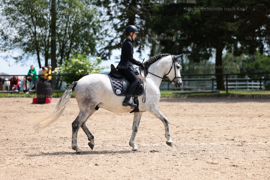 KlasseA_Stoibphotography_C2_L5702.JPG | working equitationturnier fotograf videograf stoibphotography marixx film working equitation deutschland reitsport turnierfotografie eventfotografie equestrian events