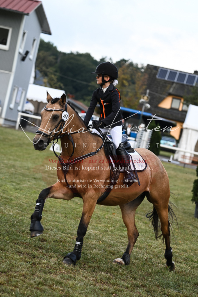 DSC_5620-2 | Pferde- und Turnierfotografie in Westsachsen. Pferdeportraits, Auftragszeichnungen und intuitive Kunst.