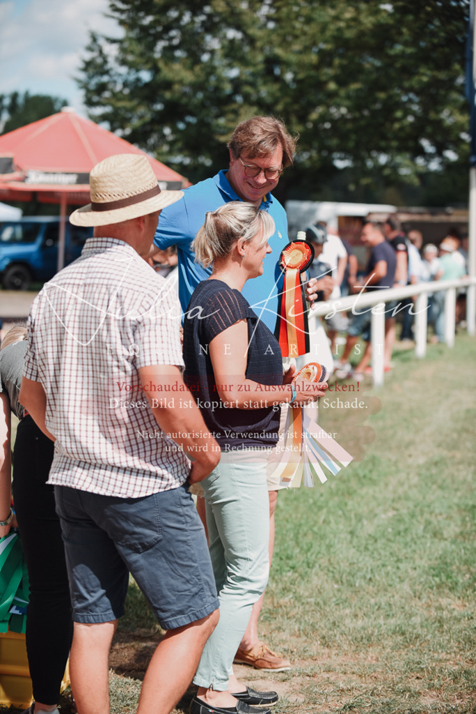 DSC_5870 | Pferde- und Turnierfotografie in Westsachsen. Pferdeportraits, Auftragszeichnungen und intuitive Kunst.