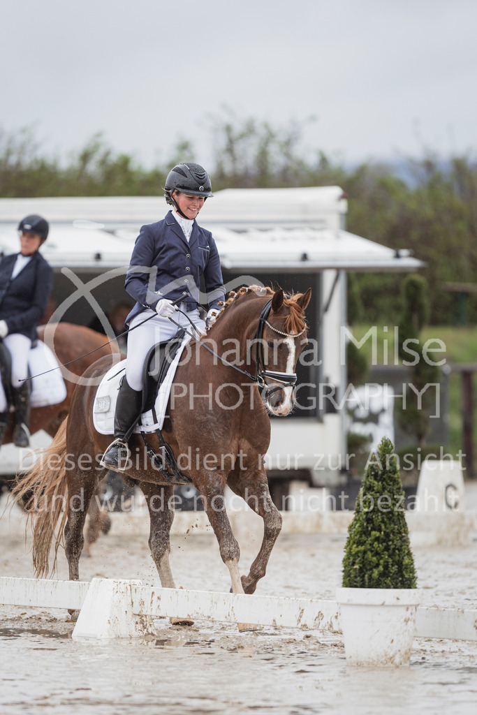 240401_Fruehlingsfest_A1-Dressur-421 | Deine schönsten Turniermomente als professionelle Fotos! Entdecke hochwertige Pferdesport-Fotografie im Online-Shop. Jetzt Fotos finden & bestellen!