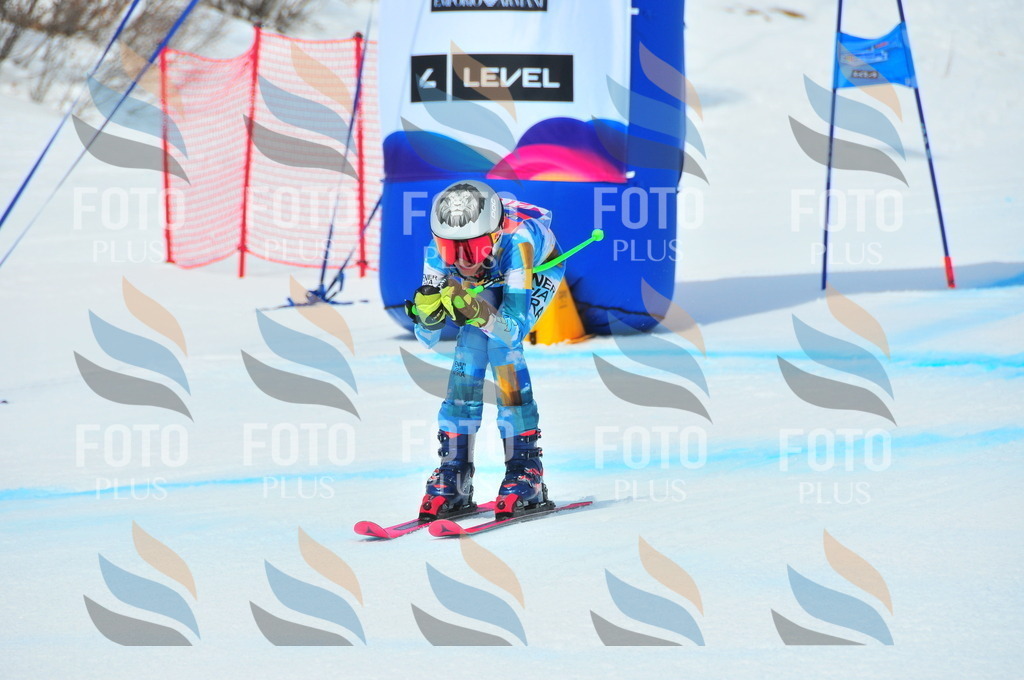 DSC_6343 | holidayphoto