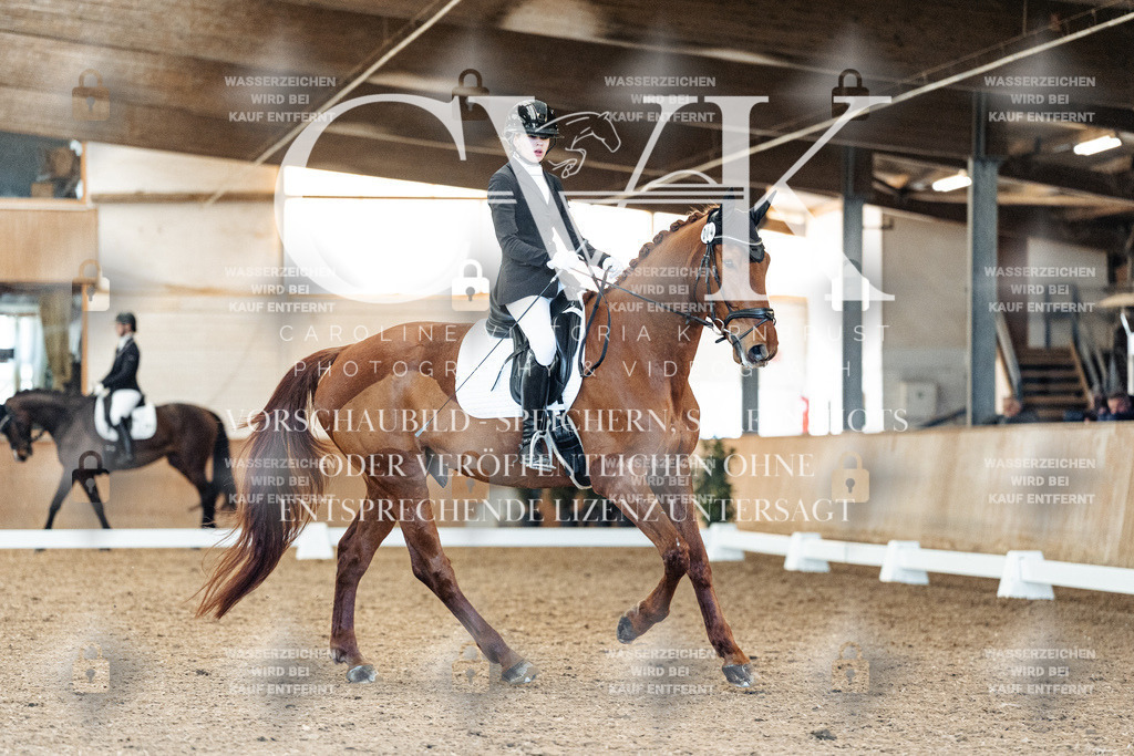 CK908730 | Turnierfotografie Pferdefotografie Trier Rheinland-Pfalz Pferdesport Reitsport Tierfotografie Sportfotografie Pferdevideo Pferdevideografie Equestrianvideography equestrianphotography  - Realisiert mit Pictrs.com