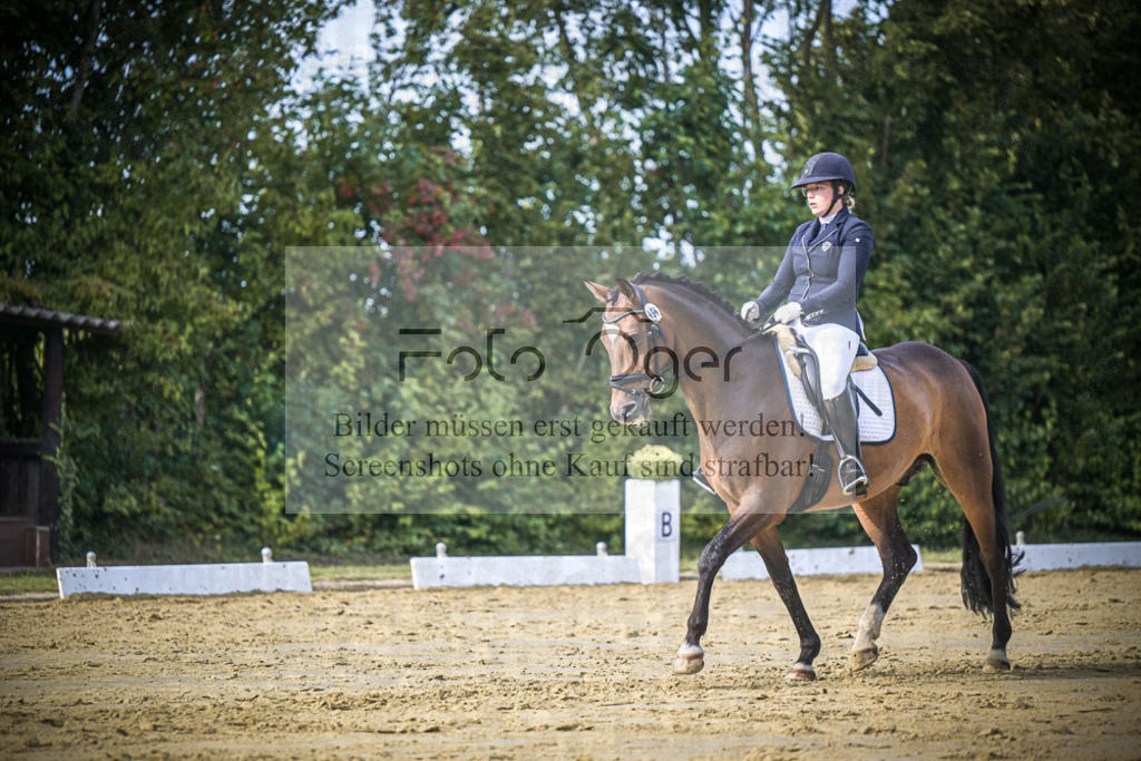 DOS_8858 | Entdecke hochwertige Reitturnierfotos von Foto Oger. Professionell, emotional und authentisch – jetzt Lieblingsmomente im Shop bestellen.Deutschlandweite Turnierfotografie. - Realisiert mit Pictrs.com