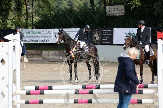 2B4A2161 | pixelfaenger - Realisiert mit Pictrs.com